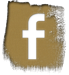 Facebook Icon